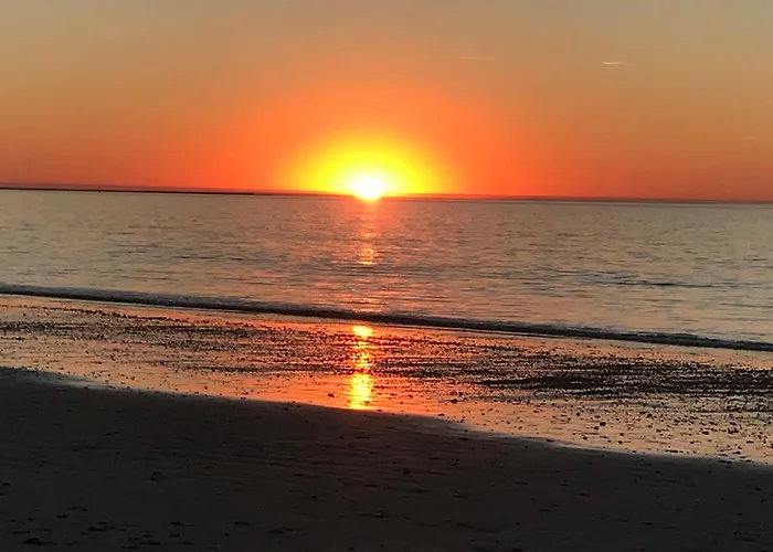 La Prée Camping Les Portes-en-Re